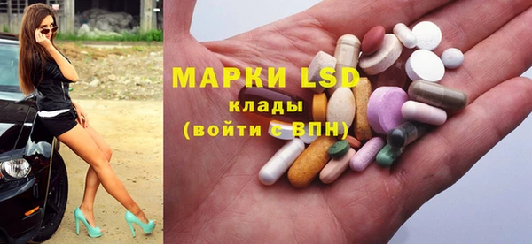 хмурый Алзамай