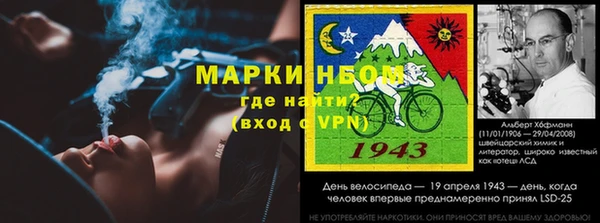 хмурый Алзамай
