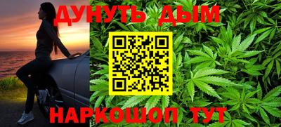 прущие грибы Новозыбков