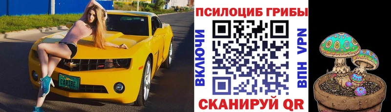 Галлюциногенные грибы ЛСД  Урюпинск 