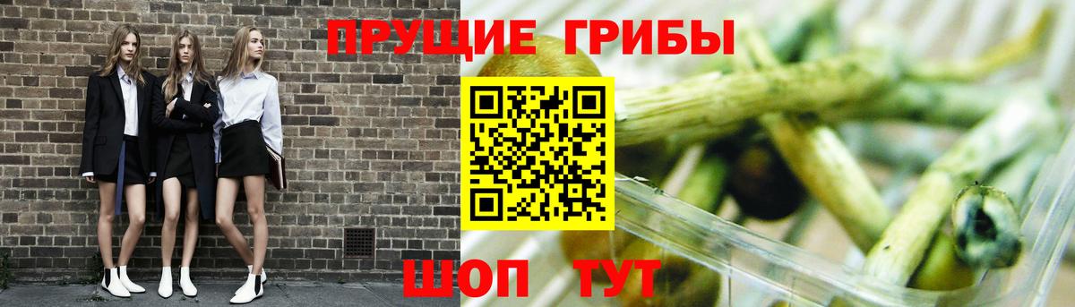 Галлюциногенные грибы Psilocybine cubensis Урюпинск