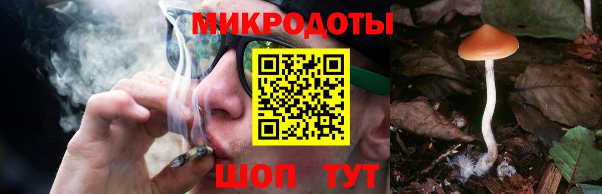 Псилоцибиновые грибы GOLDEN TEACHER  Вход с VPN  Урюпинск 